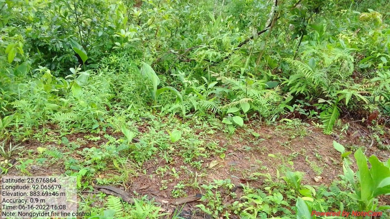 C:\Users\Lavinia Pde\Desktop\nongpyrdet\Nongpyrdet\WhatsApp Image 2023-02-02 at 14.42.36 (1).jpeg